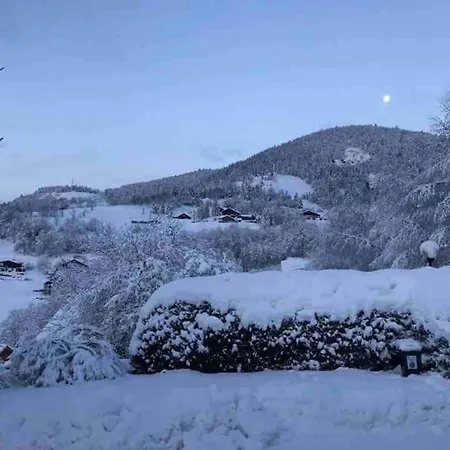 Hotel Le Du Petit Skieur - 4 Etoiles *