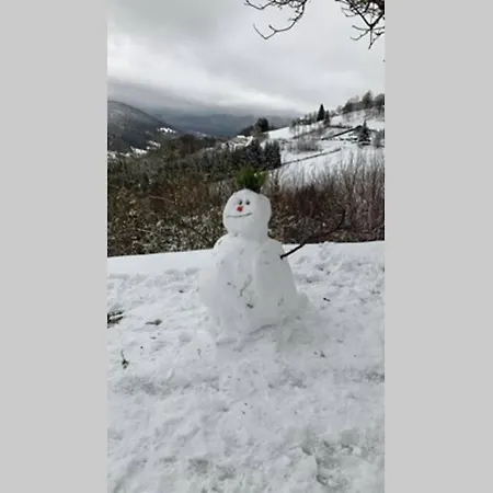 Le Du Petit Skieur - 4 Etoiles Bussang