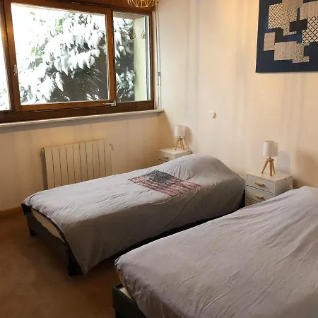 Hotel Le Du Petit Skieur - 4 Etoiles *