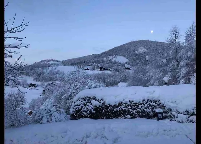 Hotel Le Du Petit Skieur - 4 Etoiles *