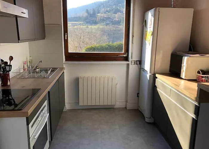 Le Du Petit Skieur - 4 Etoiles Hotel