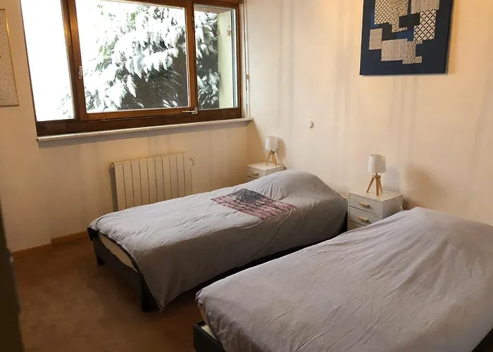 Hotel Le Du Petit Skieur - 4 Etoiles *